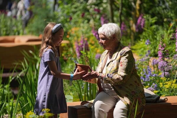 Judi Dench is presented with a seedling from the Sycamore Gap tree in the Octavia Hill Garden by Blue Diamond, during the RHS Chelsea Flower Show.