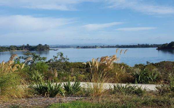 The Watercare site on Glenbrook Beach Rd, marked for a wastewater treatment plant. (Supplied)